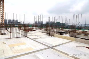 廣西建工一建來賓祥康苑項目質量安全標準化施工圖集編制與應用指南